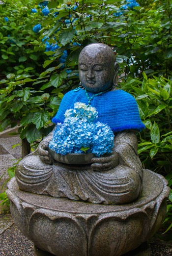 「明月院ブルー」を身にまとった花想い地蔵2286502