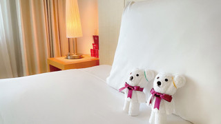 スタンダード ルーム