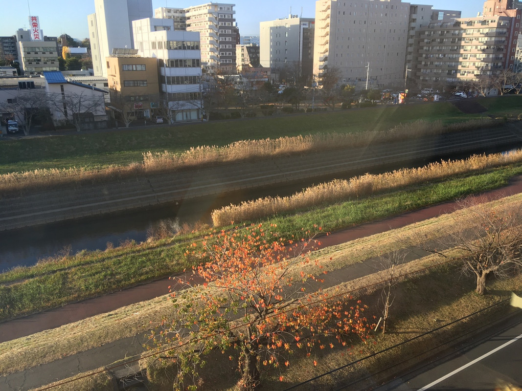 部屋からの眺望