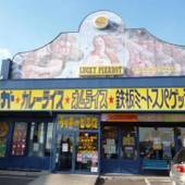 函館元町ホテル（北海道 ビジネスホテル） / 4