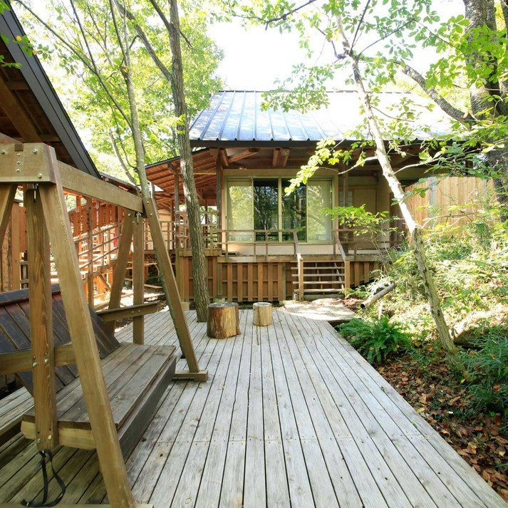 野を愛でる 菜の花 テラス