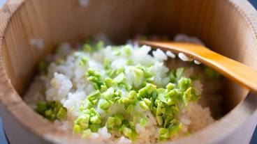 食事・飲み物 / 12