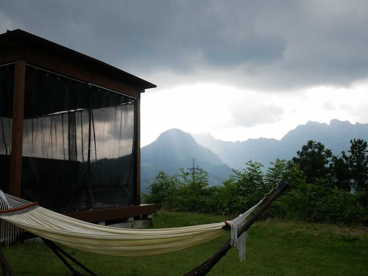 memoria0804さんの写真 / 1