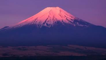 ランド ビュー / 29