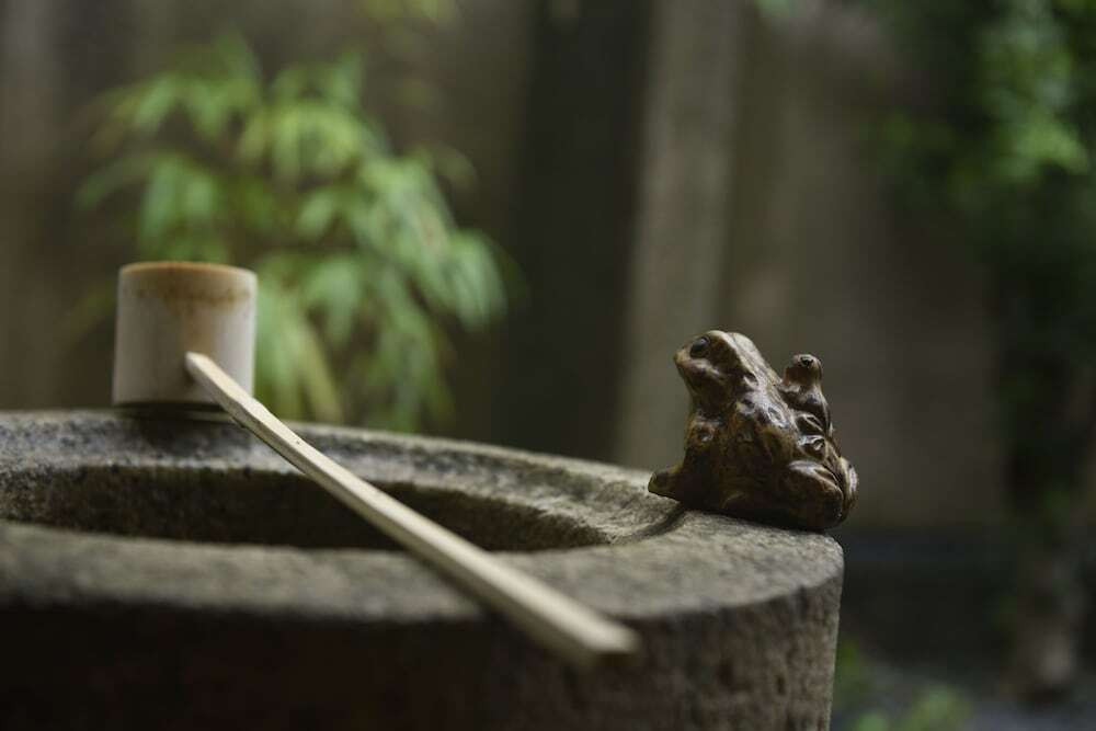 施設からの眺望