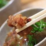 だるま 心斎橋店(ダルマ)