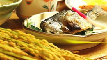 レストラン / 10