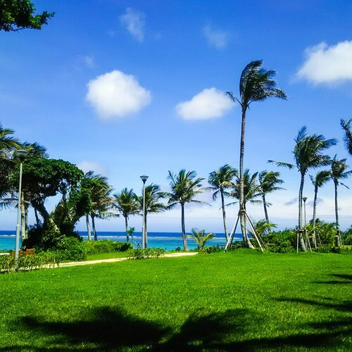 ザ・ムーンビーチ ミュージアムリゾート（ホテル ムーンビーチ） / 1