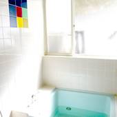 裏磐梯 ペンション見鳥(みどり)(福島県 ペンション) / 5