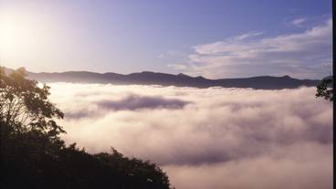 施設からの眺望 / 21