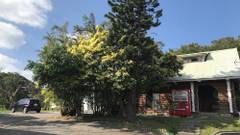 Nature GuestHouse Long Island