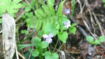 施設の敷地 / 31