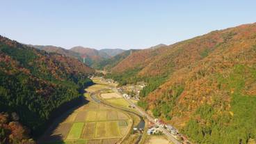 ランド ビュー / 22