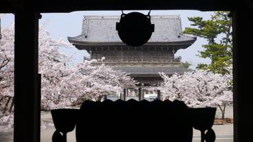 観光スポット / 18