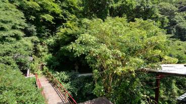 部屋からの景観 / 7