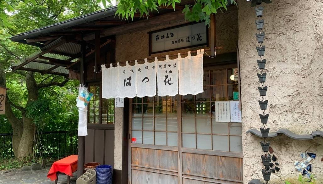 はつ花 本店 / 4