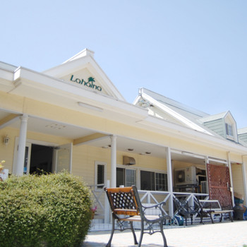 リゾート気分を味わえる「ワンちゃんと泊まる宿ラハイナ」in岡山847241