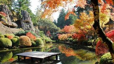 ランド ビュー / 39