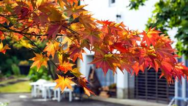 施設の敷地 / 20