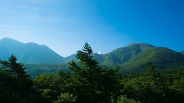 施設からの眺望 / 16