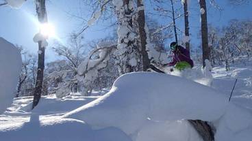 スノー スポーツとスキー / 37