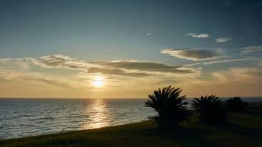 ビーチ / オーシャン ビュー / 9