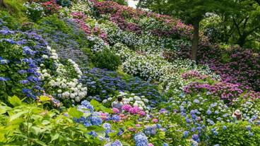 観光スポット / 13