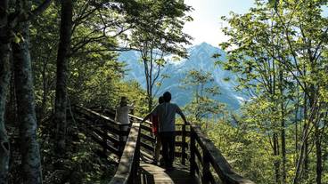 キャノピーウォーク / 2