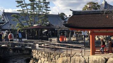 観光スポット / 39