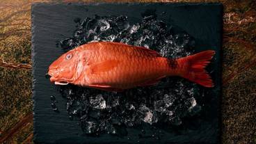 レストラン / 19