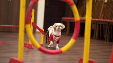 施設の敷地 / 12