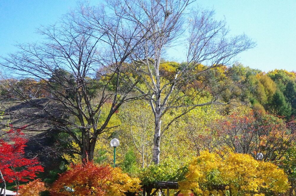 施設からの眺望