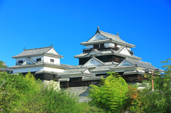 [Ehime] Matsuyama Castle tower in fresh greenery