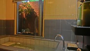 バスルーム / 31