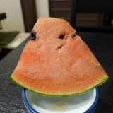 旅の宿 葆光荘(ホコウソウ)