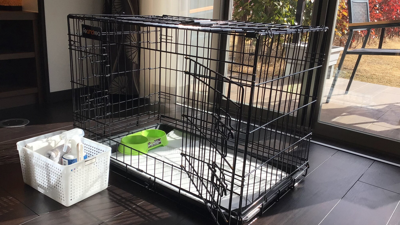 プライベートガーデンでバーベキューをしながら花火が見られる貸し切りヴィラ3362896