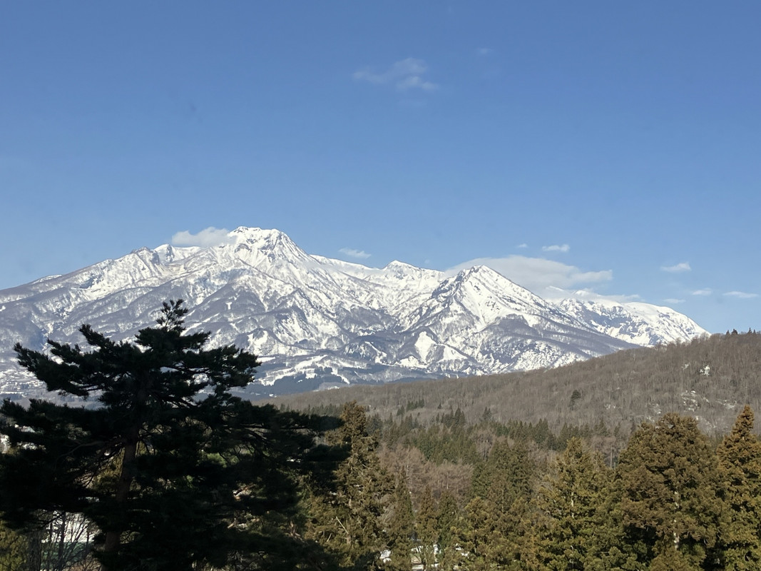 部屋からの眺望