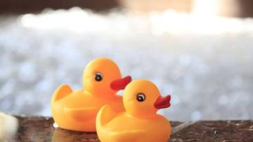 バスルーム / 17