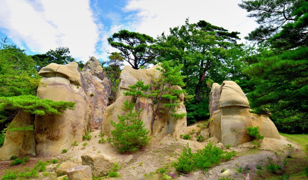 浄土松公園2497317
