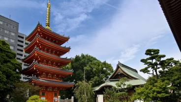 観光スポット / 13