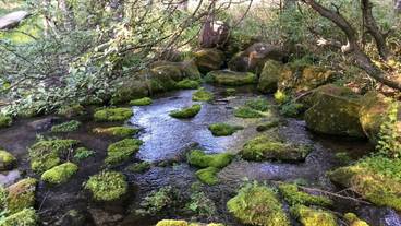 ランド ビュー / 25