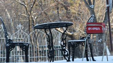 テラス / パティオ / 6