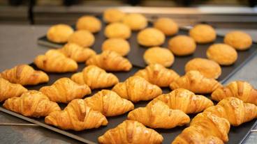 食事・飲み物 / 10