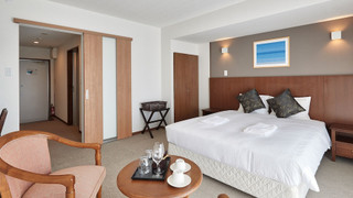 (ホテルタイプ) ダブルルーム