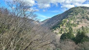 bar hotel 箱根香山（バーホテル ハコネカザン） / 9