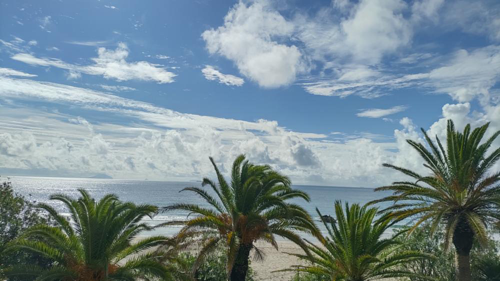 croissantdelune11さんの写真 / 3