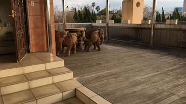 バルコニーからの眺望 / 5