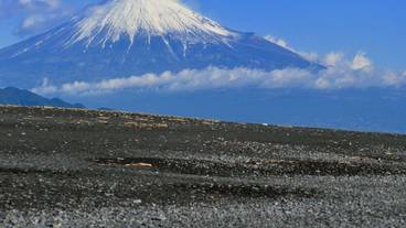 観光スポット / 8