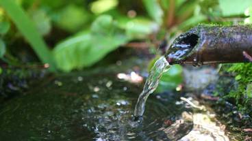 施設の敷地 / 12