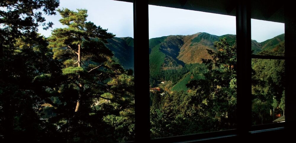 施設からの眺望